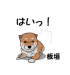 板垣さんが使う名前スタンプ・子犬イラスト（個別スタンプ：22）