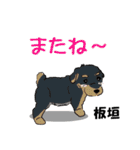 板垣さんが使う名前スタンプ・子犬イラスト（個別スタンプ：23）