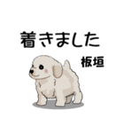 板垣さんが使う名前スタンプ・子犬イラスト（個別スタンプ：27）