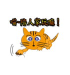 Meow tiger (dynamic)（個別スタンプ：6）