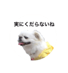 白子さん（個別スタンプ：7）