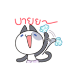 Nuania, Thai cat（個別スタンプ：19）