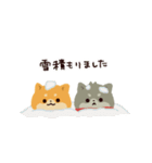 紅白わんこ～冬のよそおい～（個別スタンプ：3）