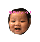 うちのせなくんのスタンプ（個別スタンプ：5）