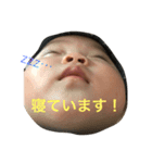うちのせなくんのスタンプ（個別スタンプ：6）