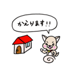 ちわわスタンプ（個別スタンプ：10）