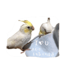 happy birds  life（個別スタンプ：10）