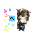 amuta009481（個別スタンプ：2）