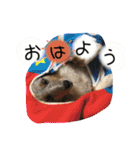 amuta009481（個別スタンプ：14）