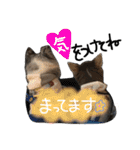 amuta009481（個別スタンプ：30）