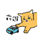 Tabby with cute cat car（個別スタンプ：17）