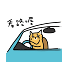 Tabby with cute cat car（個別スタンプ：20）
