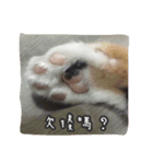 ChiChiOuO（個別スタンプ：2）