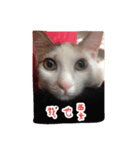 ChiChiOuO（個別スタンプ：7）