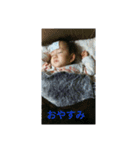 ###-----（個別スタンプ：16）
