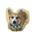 くうらぶ（個別スタンプ：1）