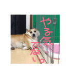 くうらぶ（個別スタンプ：3）