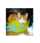 くうらぶ（個別スタンプ：4）
