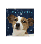 ジャックとチワワの一言（個別スタンプ：27）