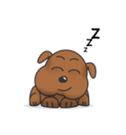 Pure life of Brown Doggy（個別スタンプ：4）