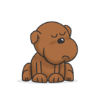 Pure life of Brown Doggy（個別スタンプ：14）