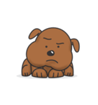 Pure life of Brown Doggy（個別スタンプ：23）