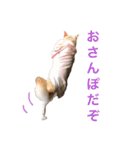 ここあなきもち（個別スタンプ：4）