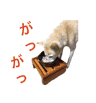 ここあなきもち（個別スタンプ：5）