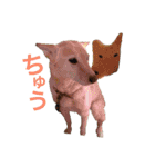 ここあなきもち（個別スタンプ：10）