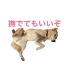 ここあなきもち（個別スタンプ：13）