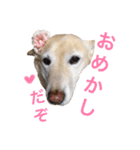 ここあなきもち（個別スタンプ：18）