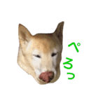 ここあなきもち（個別スタンプ：19）