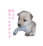 ここあなきもち（個別スタンプ：22）