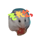Mfamily  2（個別スタンプ：17）