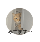 はっちゃん  スタンプ（個別スタンプ：2）