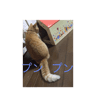 はっちゃん  スタンプ（個別スタンプ：3）