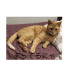 はっちゃん  スタンプ（個別スタンプ：8）