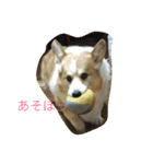 Big ear boys Rick and Tia（個別スタンプ：1）