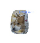 Big ear boys Rick and Tia（個別スタンプ：5）