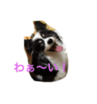 Big ear boys Rick and Tia（個別スタンプ：7）
