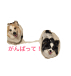 Big ear boys Rick and Tia（個別スタンプ：8）