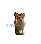 Big ear boys Rick and Tia（個別スタンプ：10）