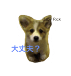 Big ear boys Rick and Tia（個別スタンプ：21）