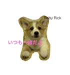 Big ear boys Rick and Tia（個別スタンプ：22）