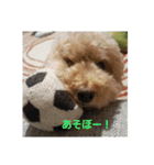砂子家のちっぷ（個別スタンプ：4）