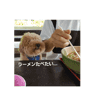 砂子家のちっぷ（個別スタンプ：7）