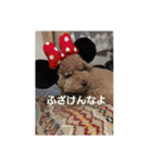 砂子家のちっぷ（個別スタンプ：10）