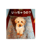 砂子家のちっぷ（個別スタンプ：16）