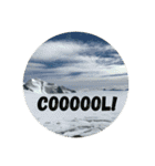 PHOTO GENIC -  stamps（個別スタンプ：6）