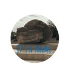PHOTO GENIC -  stamps（個別スタンプ：15）